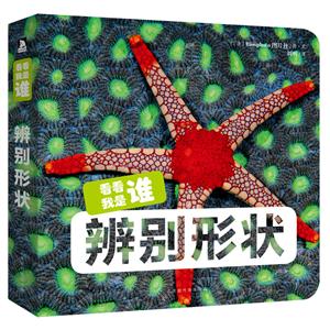 辨别形状-技术教育社区