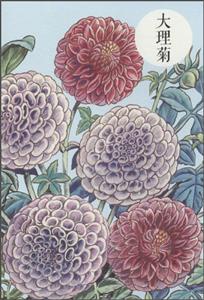 祝大年格调笔记系列-技术教育社区