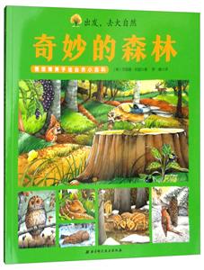 奇妙的森林-出发.去大自然-技术教育社区