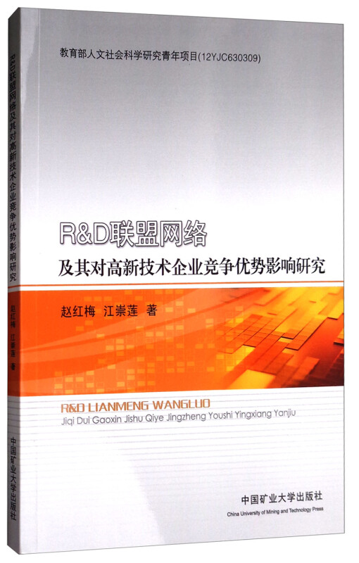 R&D联盟网络及其对高新技术企业竞争优势影响研究