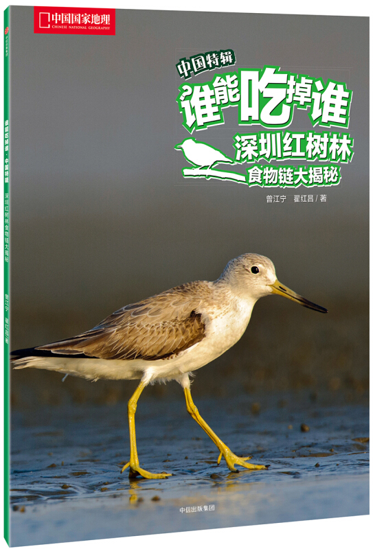深圳红树林食物链大揭秘-谁能吃掉谁-中国特辑