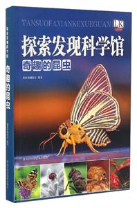 奇趣的昆虫-探索发现科学馆-技术教育社区