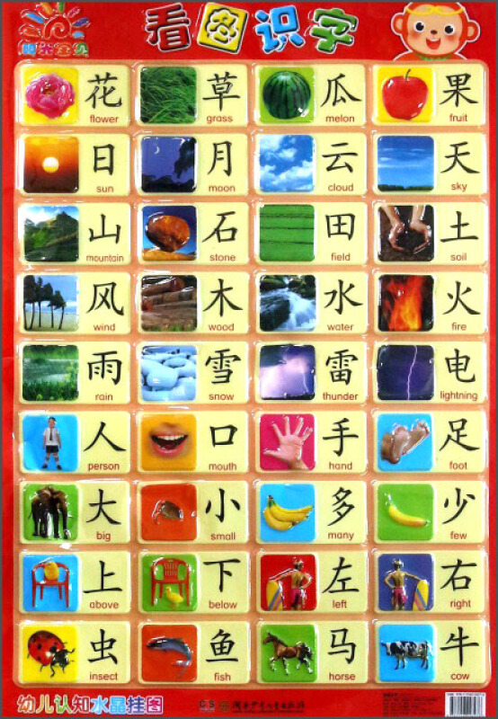 看图识字幼儿认知水晶挂图