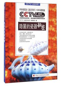 隐匿的瓷器秘密-技术教育社区