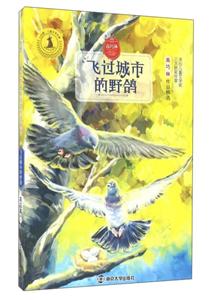 飞过的城市的野鸽-技术教育社区