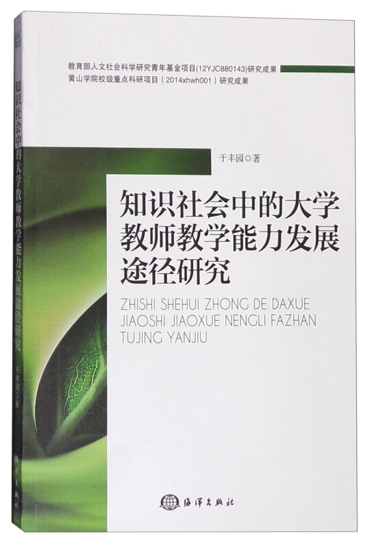 知识社会中的大学教师教学能力发展途径研究