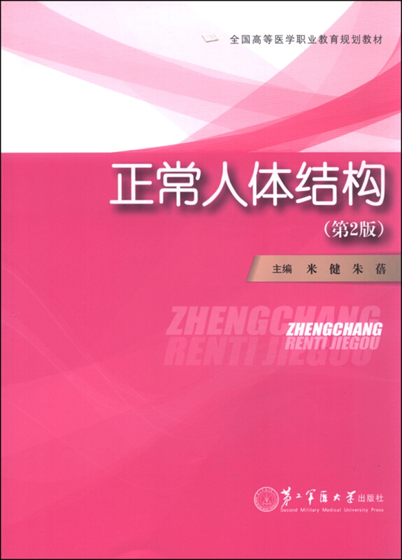 正常人体结构
