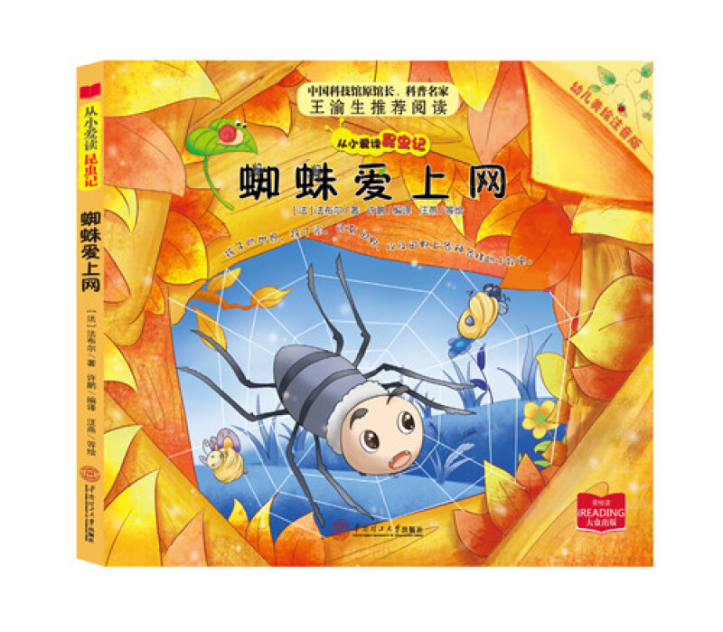 蜘蛛爱上网-从小爱读昆虫记-幼儿美绘注音版