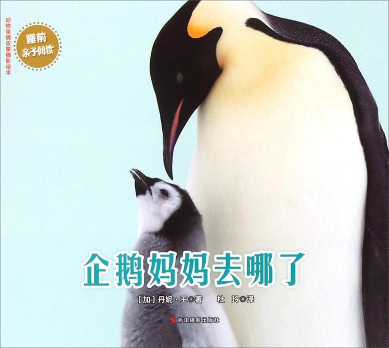 企鹅妈妈去哪了