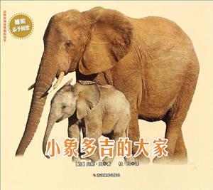 小象多吉的大家-技术教育社区