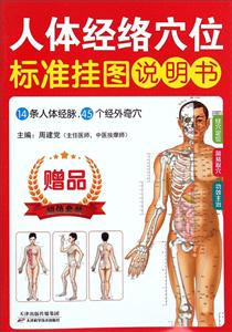 人本经络穴位挂图-(共3张.赠说明书)-技术教育社区