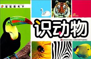 识动物-宝宝看天下-技术教育社区