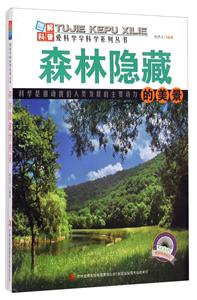 森林隐藏的美景-技术教育社区