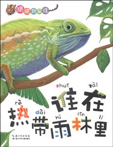 谁在热带雨林里-猜猜我是谁-技术教育社区