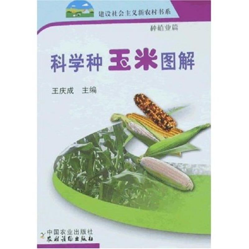 科学种玉米图解