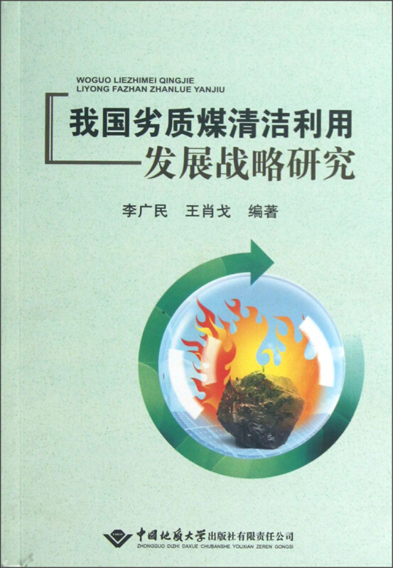 我国劣质煤清洁利用发展战略研究