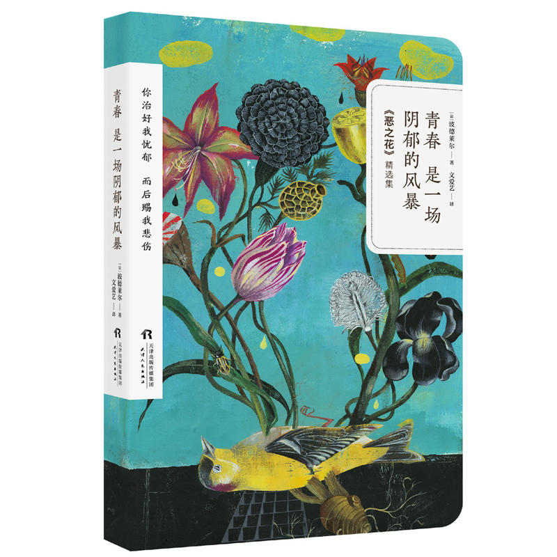 北京紫图图书有限公司青春是一场阴郁的风暴 恶之花精选集