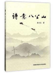 诗意八公山-技术教育社区