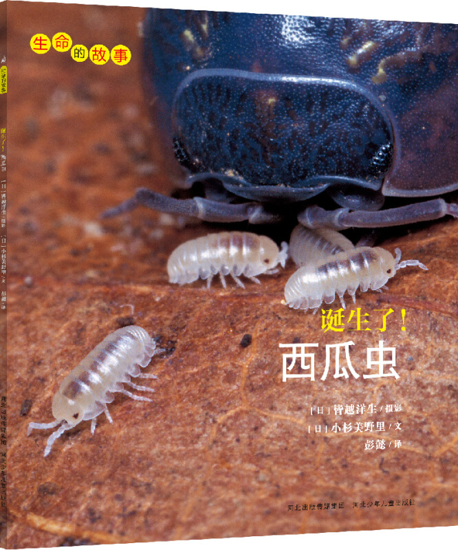 生命的故事诞生了西瓜虫