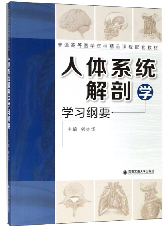 人体系统解剖学学习纲要/钱亦华/普通高等医学院校精品课程配套教材