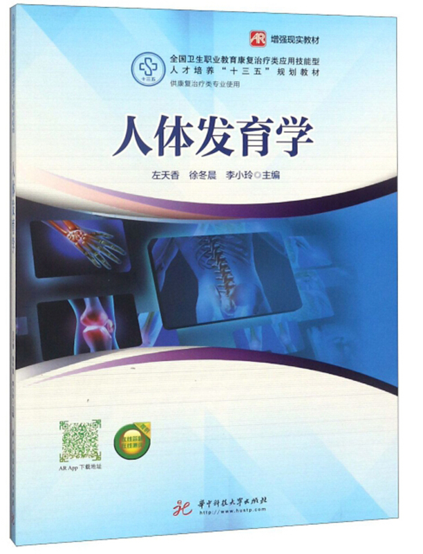 人体发育学