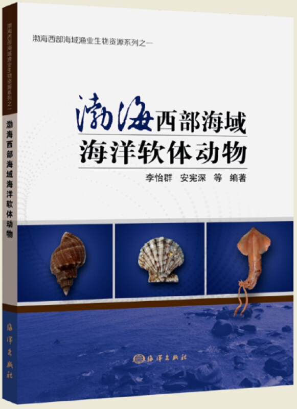 渤海西部海域渔业生物资源系列渤海西部海洋软体动物