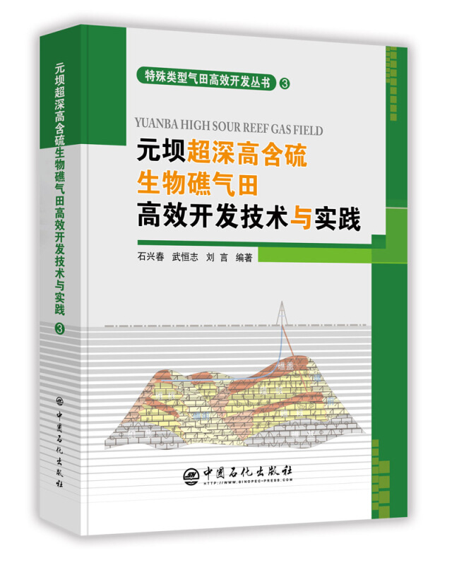 特殊类型气田高效开发丛书元坝超深高含硫生物礁气田高效开发技术与实践