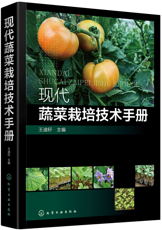 现代蔬菜栽培技术手册