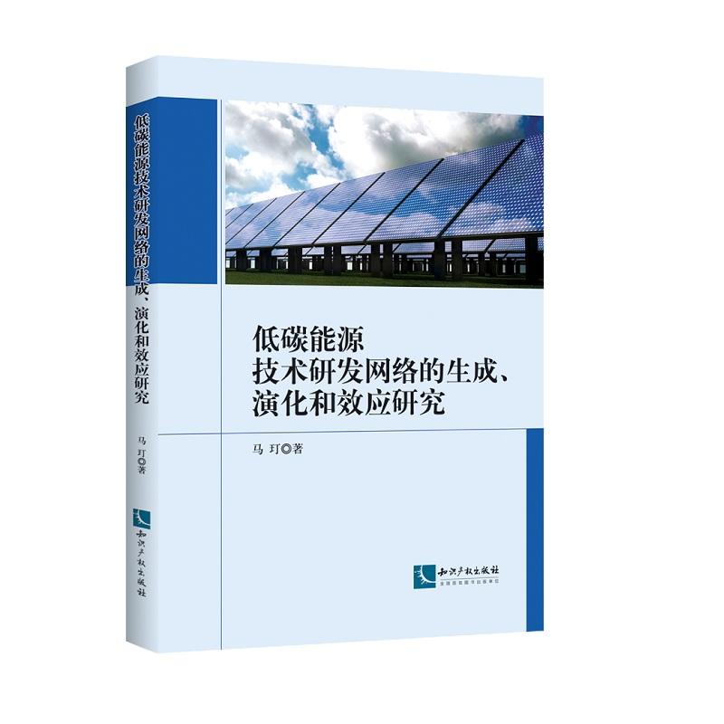 低碳能源技术研发网络的生成.演化和效应研究