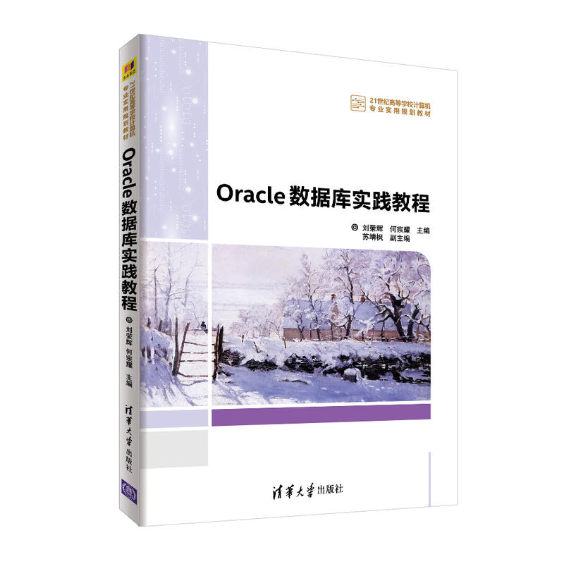 21世纪高等学校计算机专业实用规划教材ORACLE数据库实践教程/刘荣辉