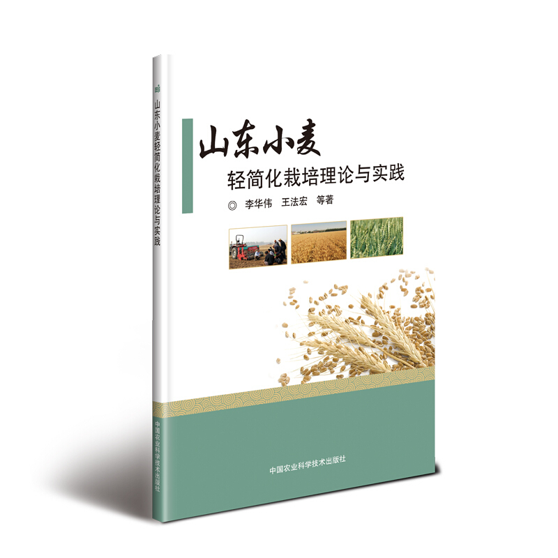 山东小麦轻简化栽培理论与实践