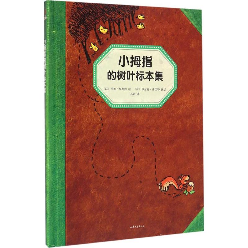 童话植物标本系列:小拇指的树叶标本集(精装本)