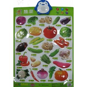 有声挂图.蔬菜-技术教育社区