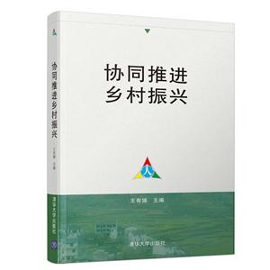 协同推进乡村振兴-技术教育社区