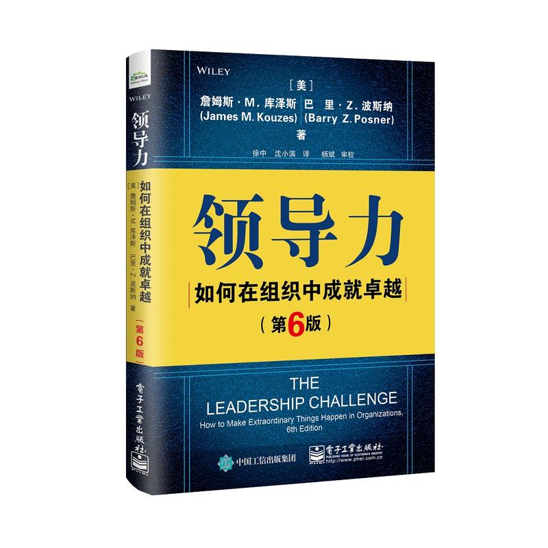领导力:如何在组织中成就卓越(第6版)