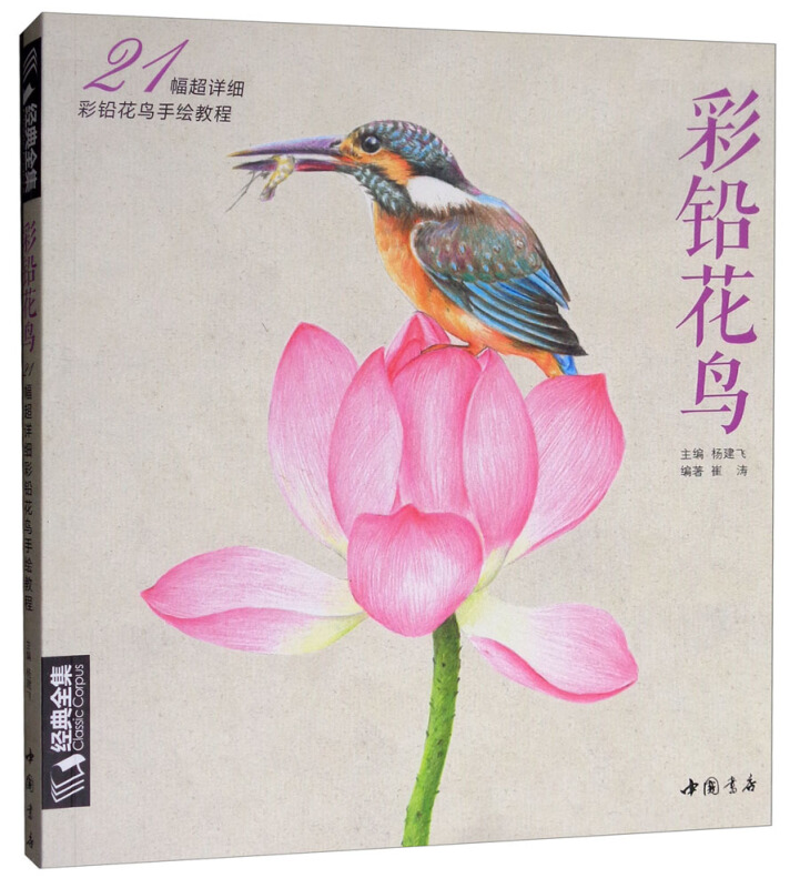 彩铅花鸟