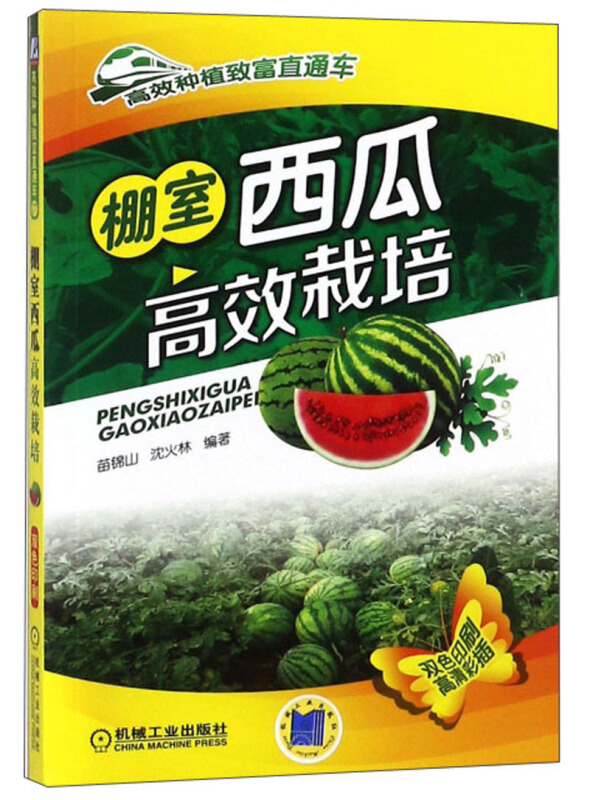 高效种植致富直通车棚室西瓜高效栽培
