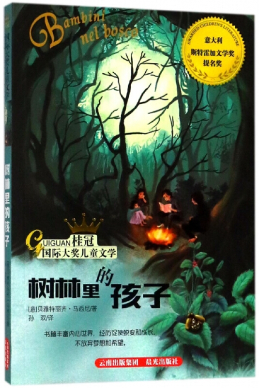 树林里的孩子/桂冠国际大奖儿童文学