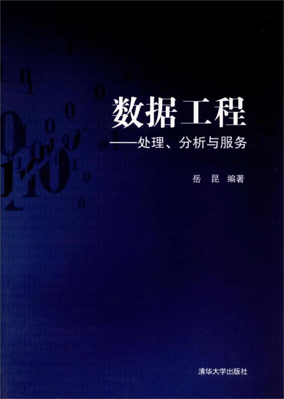 数据工程---处理、分析与服务
