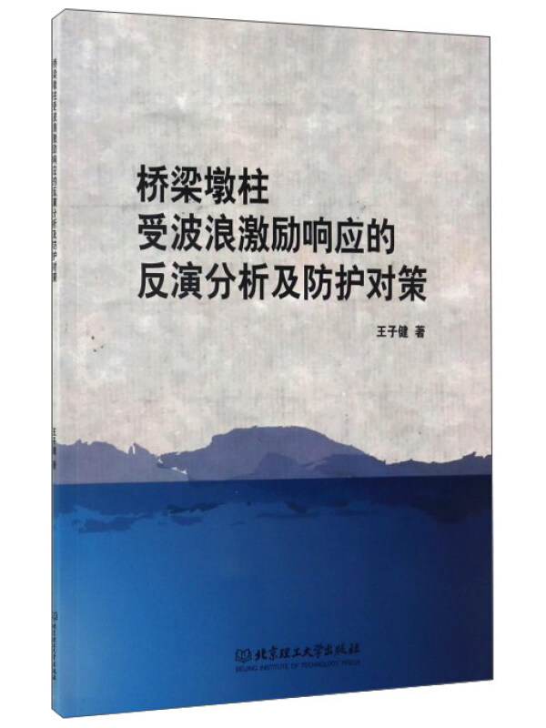 桥梁墩柱受波浪学激励响应的反演分析及防护对策