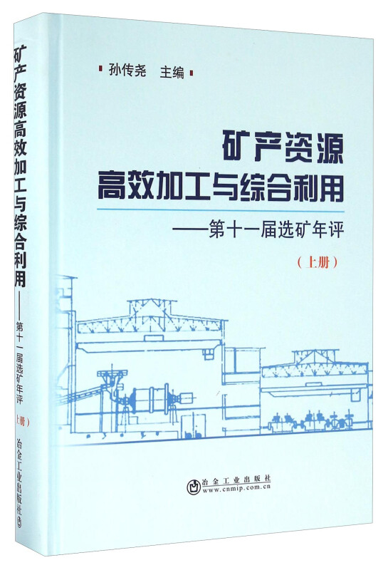 矿产资源高效加工与综合利用-第十一届选矿年评-(上册)