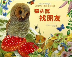 猫头鹰找朋友-惊喜翻翻书-技术教育社区