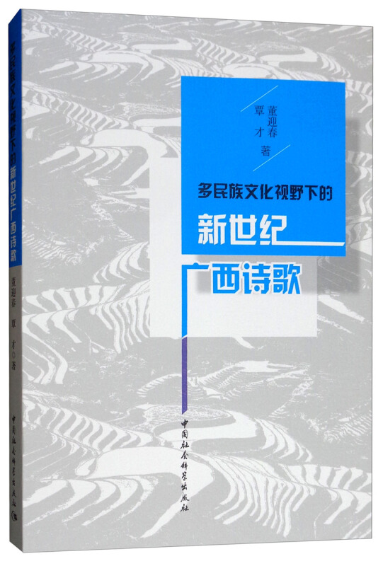 多民族文化视野下的新世纪广西诗歌