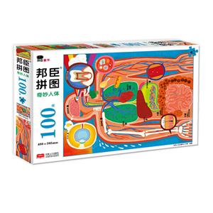 奇妙人体-邦臣拼图-100块-技术教育社区