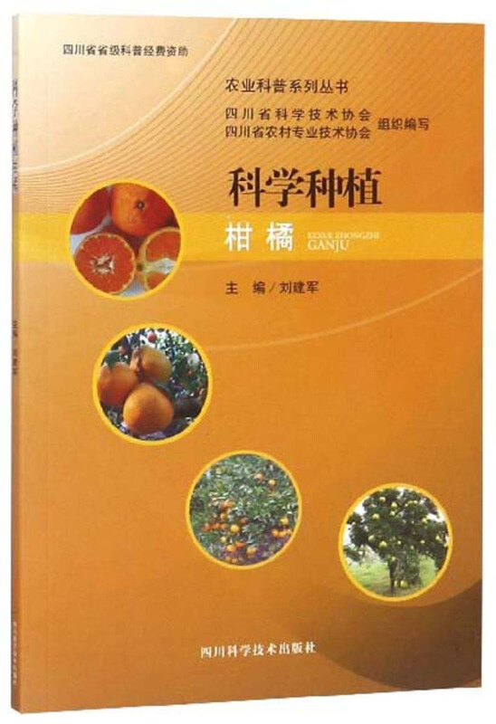 科学种植柑橘