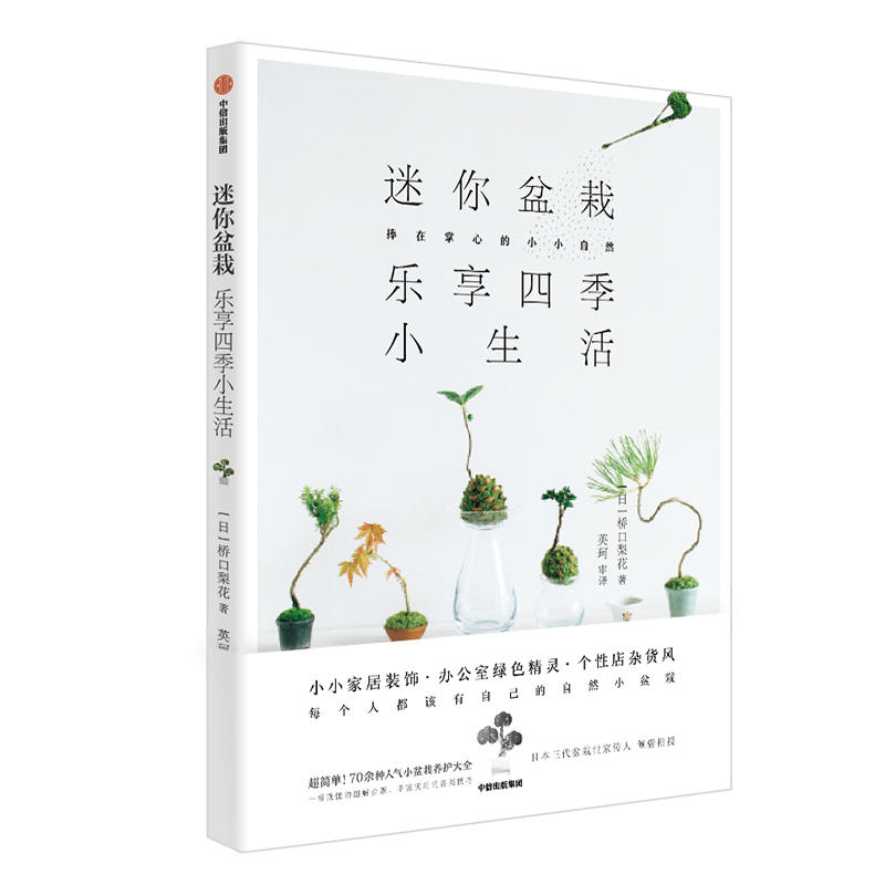 迷你盆栽乐享四季小生活