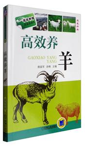 高效养羊-技术教育社区