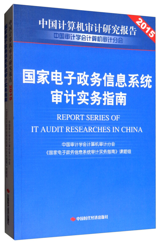 国家电子政务信息系统审计实务指南