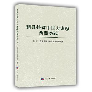 精准扶贫中国方案与西盟实践-技术教育社区