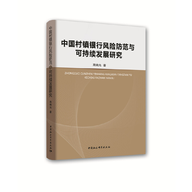 中国村镇银行风险防范与可持续发展研究